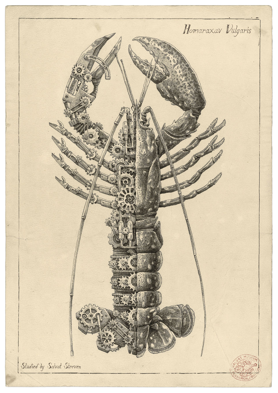 Steeven Salvat Crustacean study 3