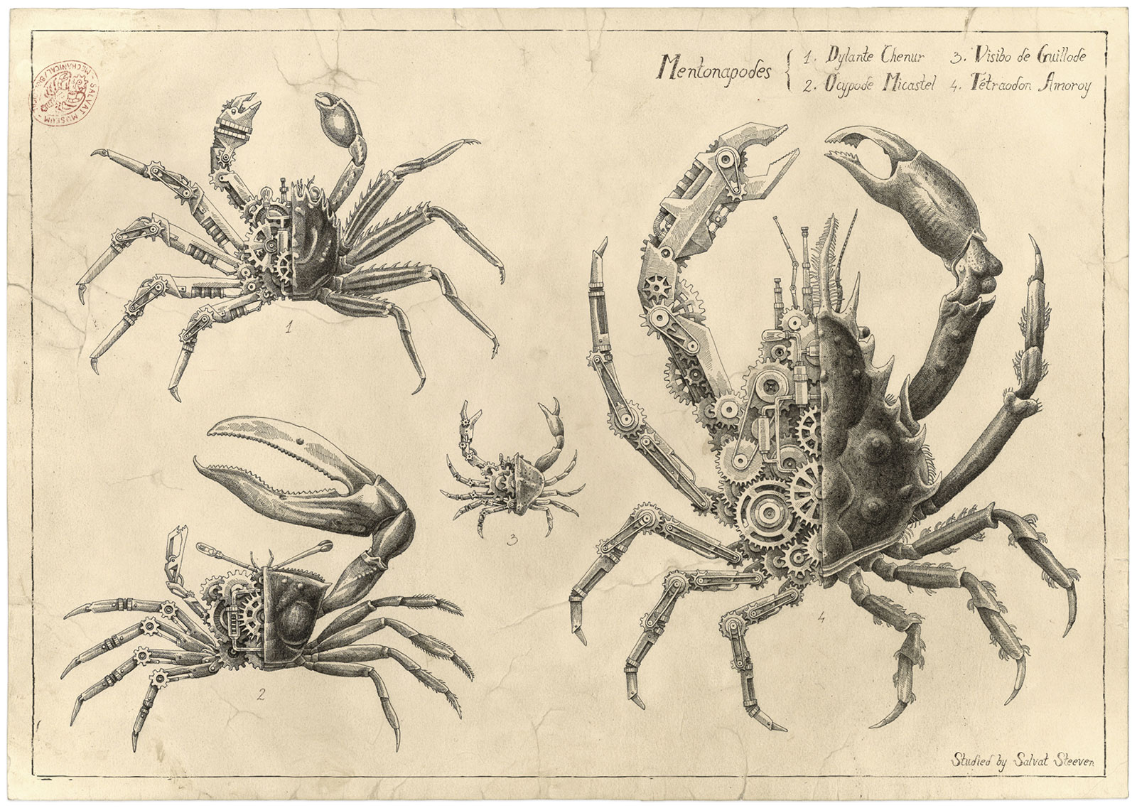 Steeven Salvat Crustacean study 4