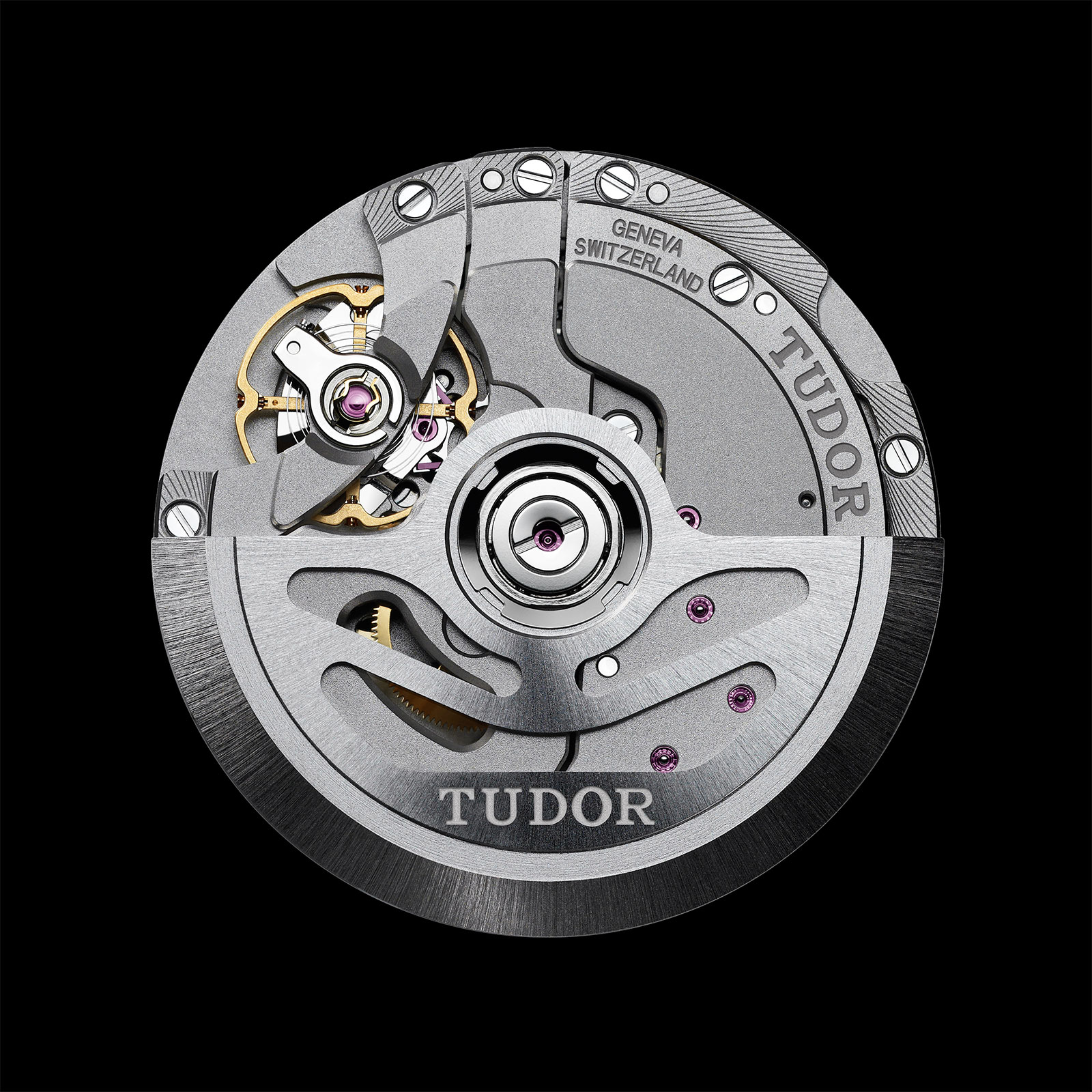 Mt5652 tudor 2025