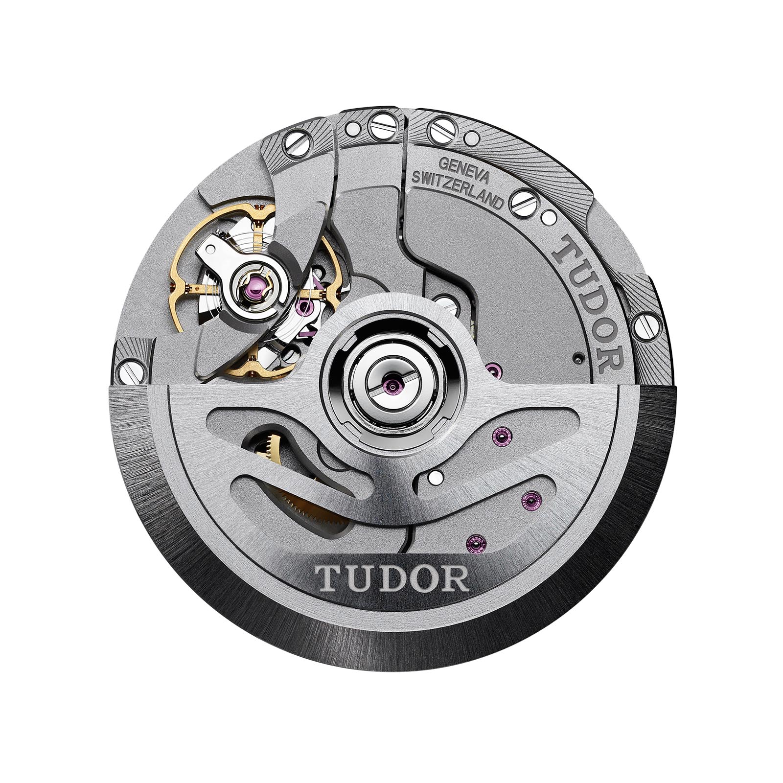 Tudor Black Bay P01 - 3