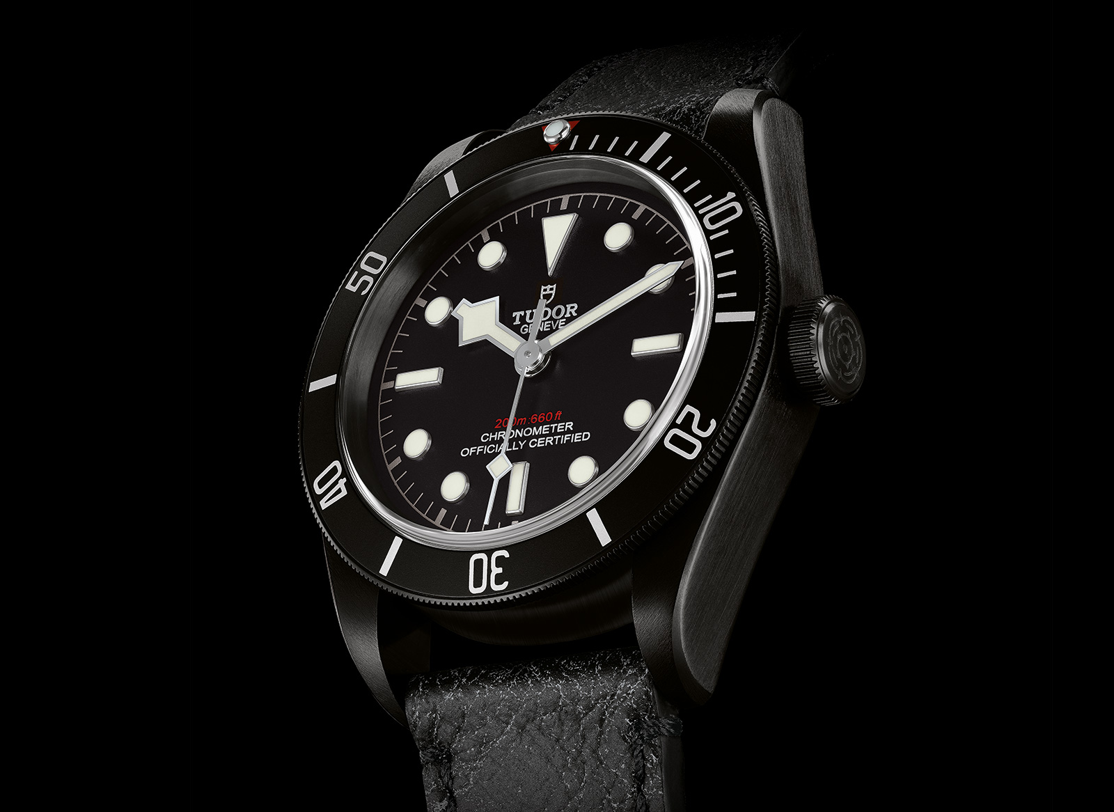 Tudor dark shop