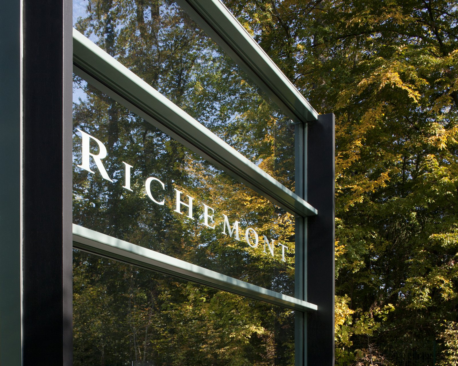 Richemont wholesale collection