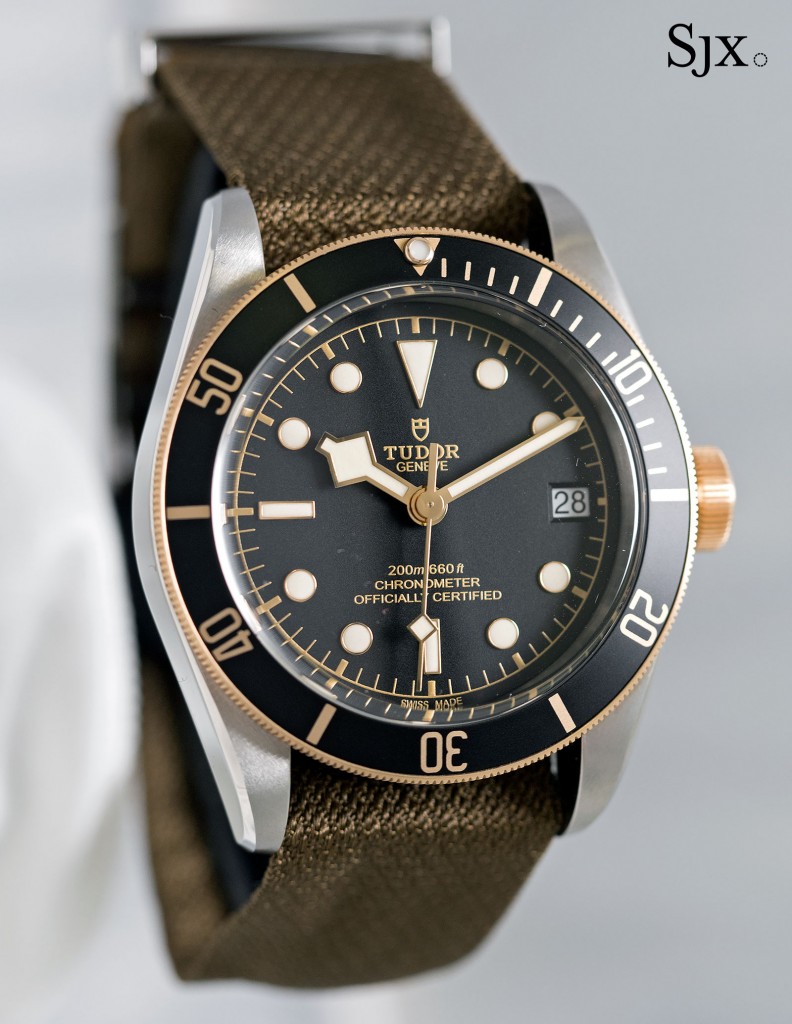 Hands-On with the Two-Tone Tudor Diver, the Black Bay S&G Ref. 79733N ...