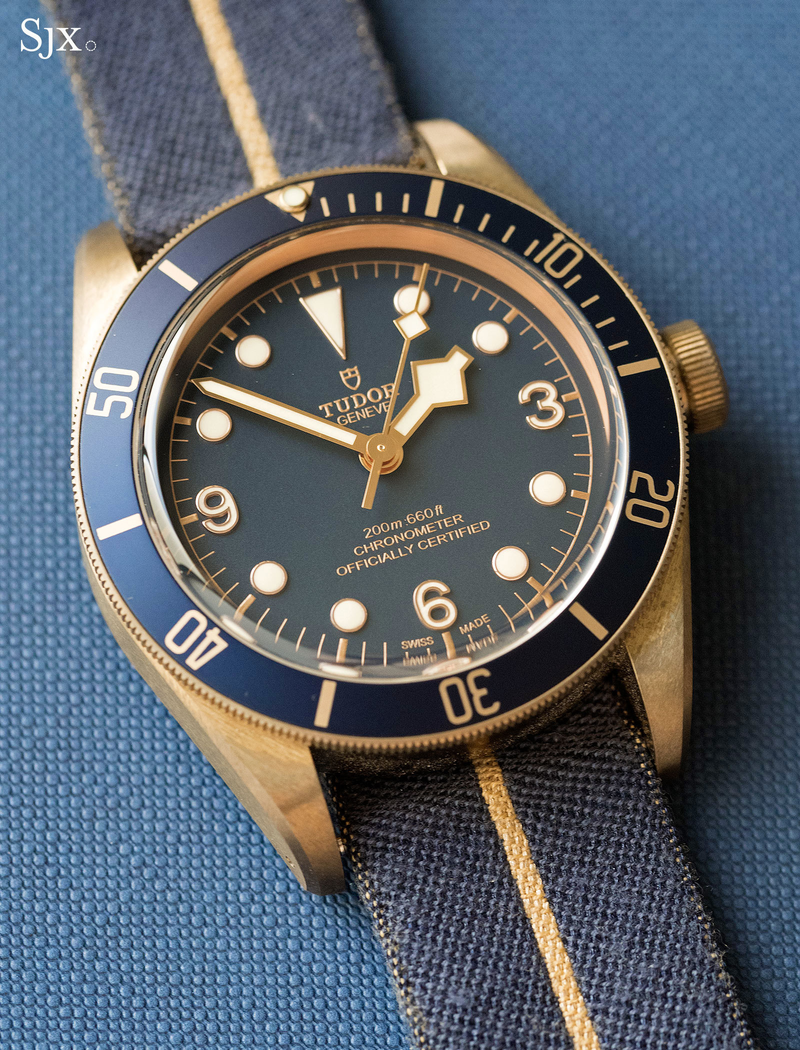 Living With the Tudor Bay Bronze Bucherer Edition |