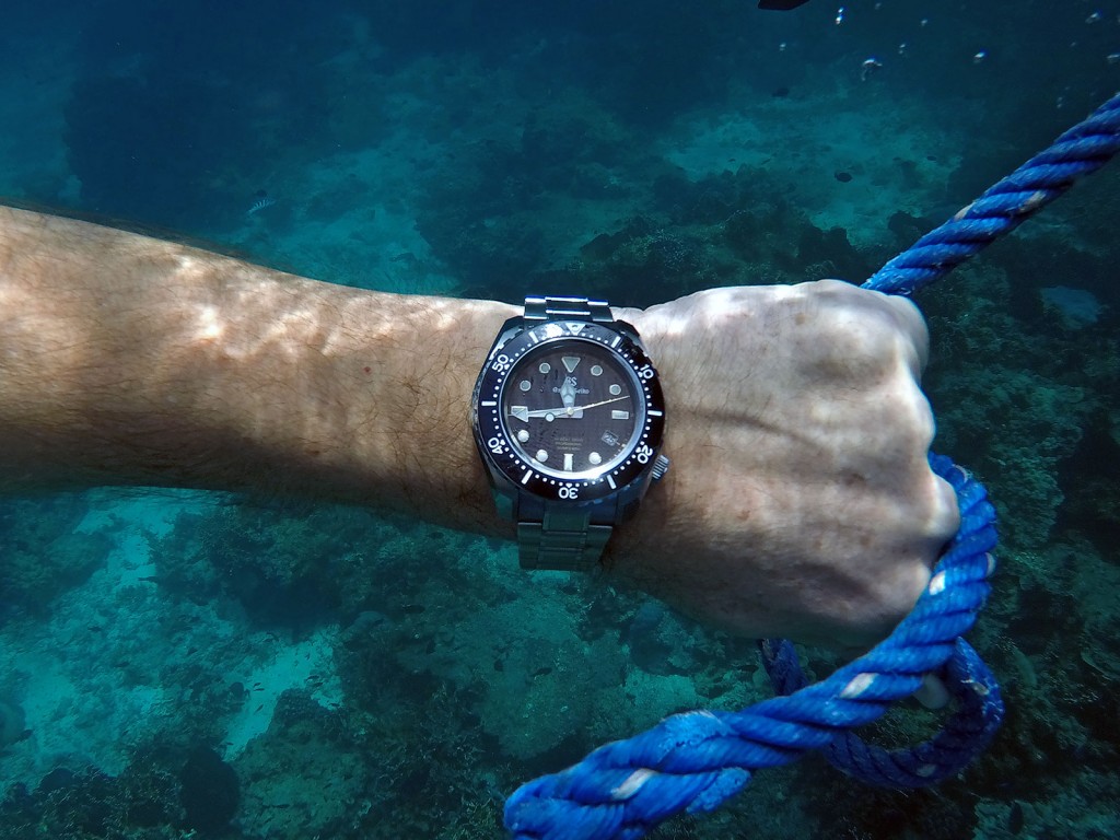 Grand Seiko Dives Deep with the Hi-Beat 600m Diver SBGH255G | SJX Watches