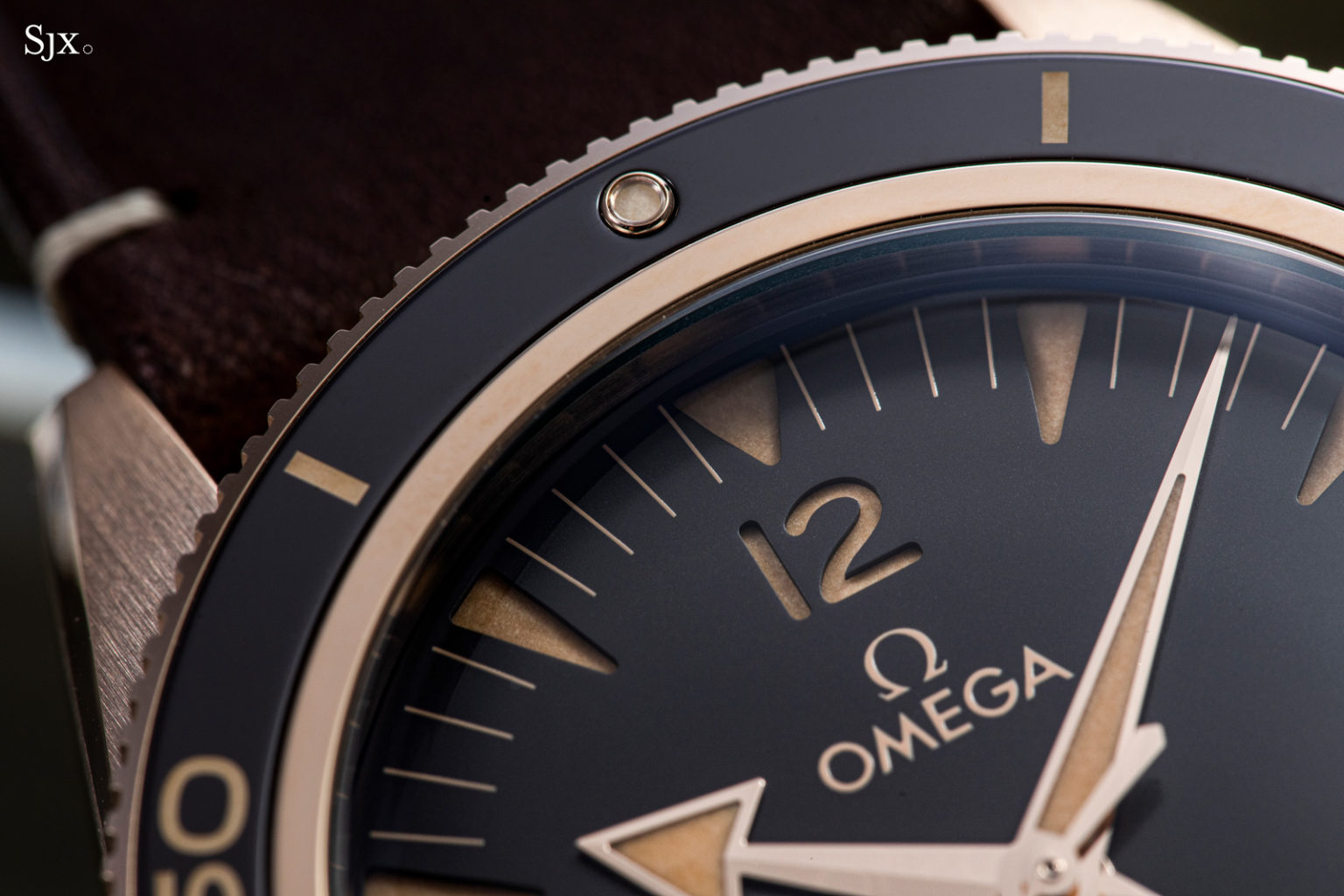 Up Close Omega Seamaster 300 Bronze Gold SJX Watches
