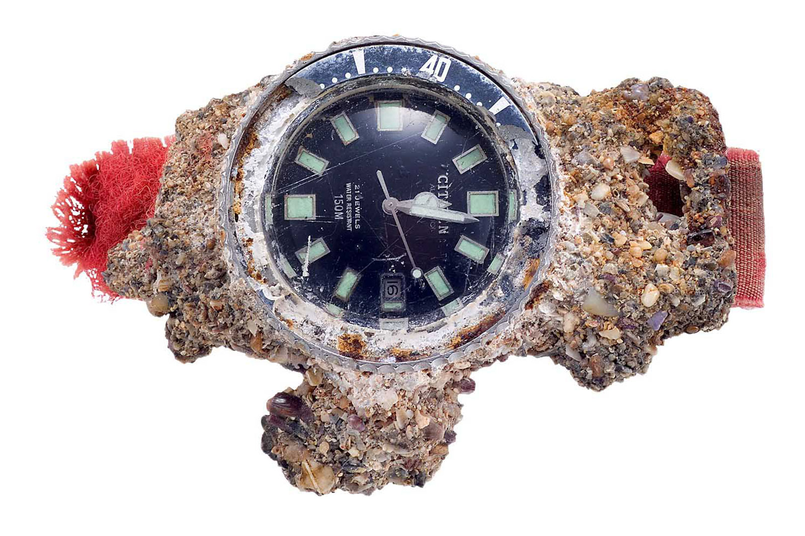 Citizen Remakes Lost-at-Sea Diver's Watch | SJX Watches
