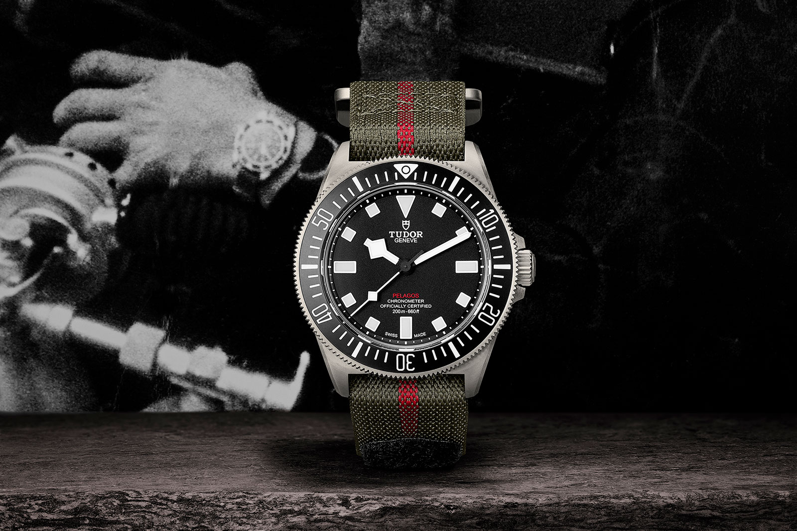 Tudor us new arrivals